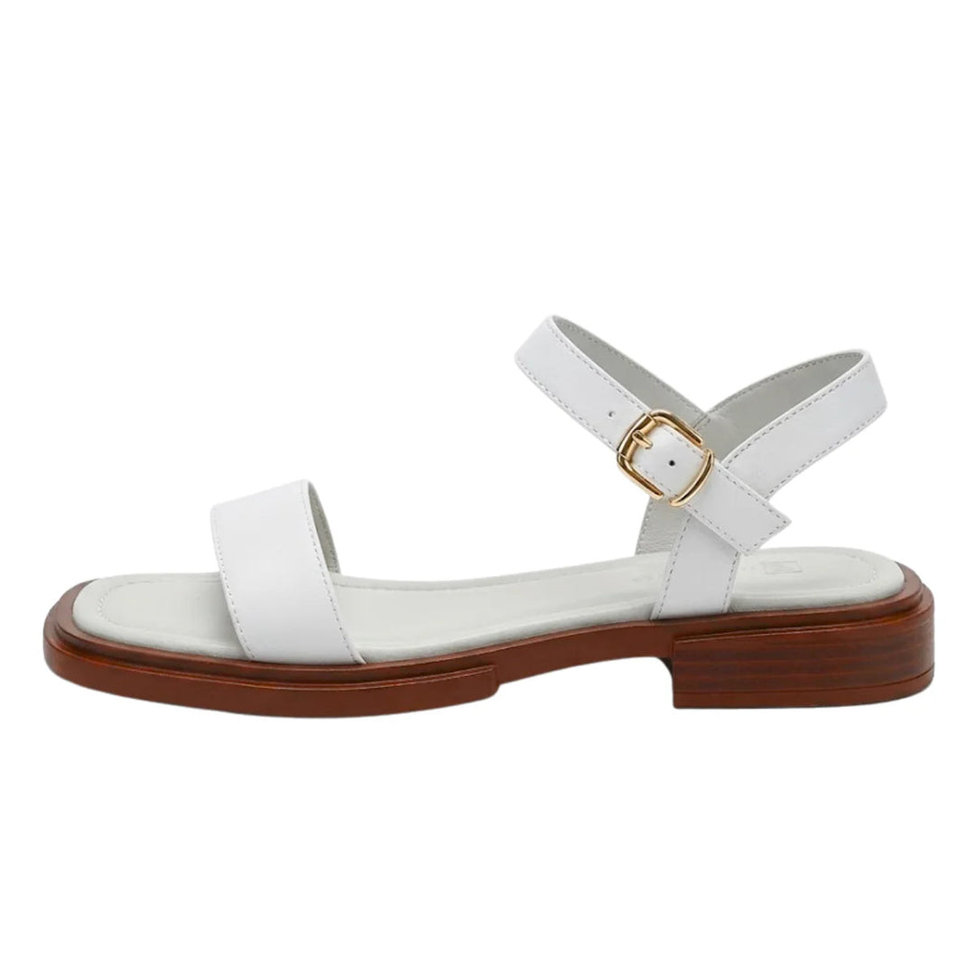 Women’s Lightweight Summer Sandals Adjustable Strap Design 4
